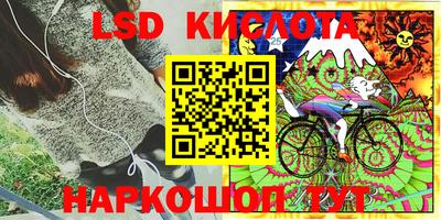 spice Будённовск
